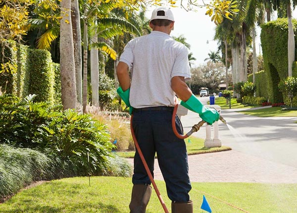 About Campaign TN Pest Control Pros